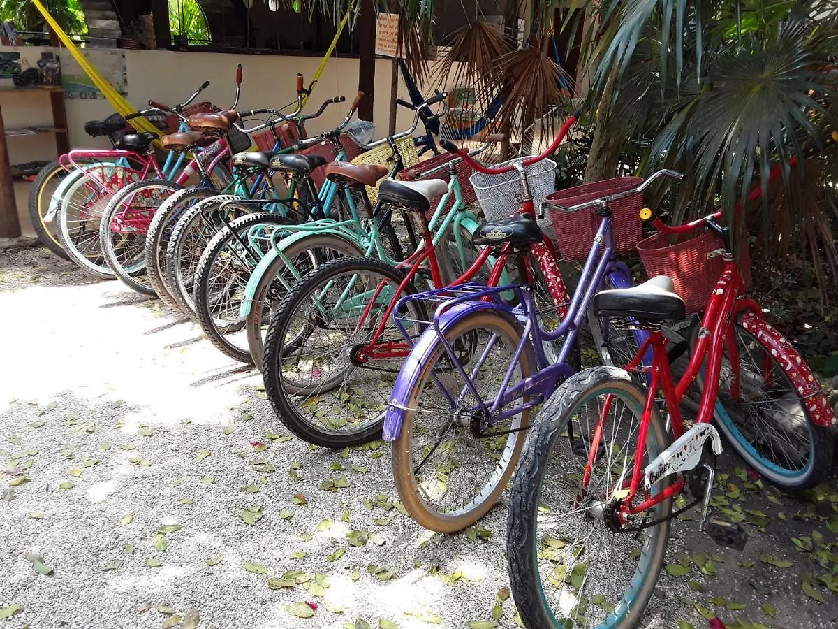 *** Hotel Hostal Mulut Tulum México
